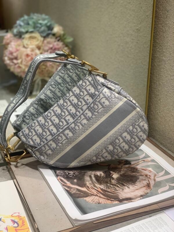 Dior Oblique Saddle Bag