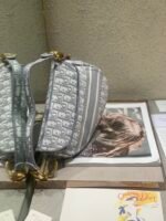 Dior Oblique Saddle Bag