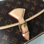 Louis Vuitton Sologne Monogram Shoulder Bag