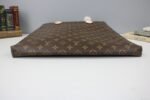 Louis Vuitton Carry It