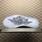 Dior × Air Jordan 1