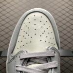 Dior × Air Jordan 1