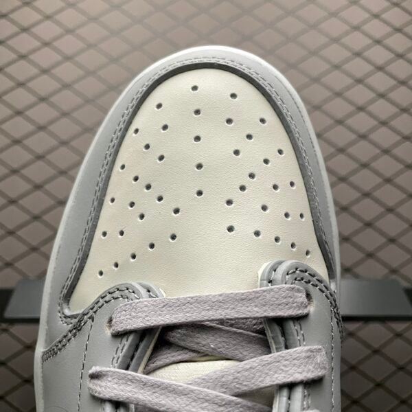 Dior × Air Jordan 1