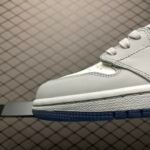 Dior × Air Jordan 1