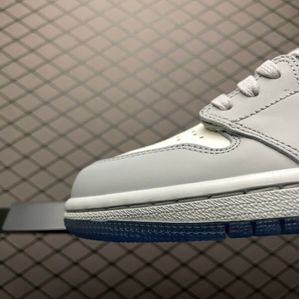Dior × Air Jordan 1