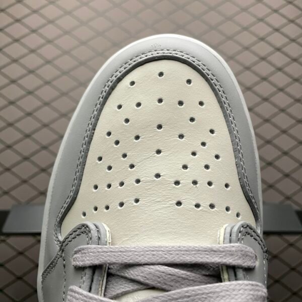 Dior × Air Jordan 1