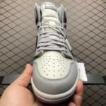 Dior × Air Jordan 1