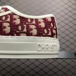 Dior 20S