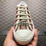 Dior 20S
