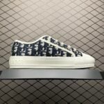 Dior 20S