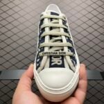 Dior 20S