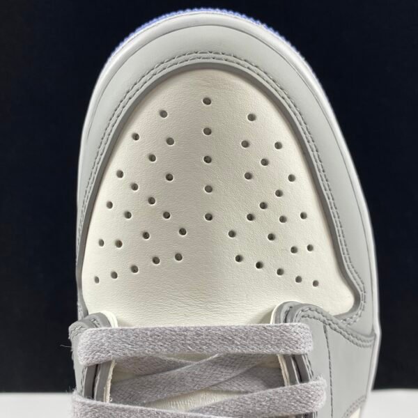 Dior ✖ Air Jordan low