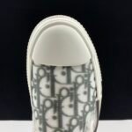 Dior B23 Oblique Slip-on low
