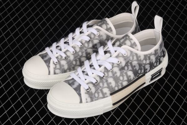 Dior B23 Oblique Low Top Sneakers Kaws