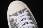 Dior B23 Oblique Low Top Sneakers Kaws