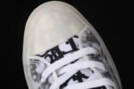 Dior ✖ Converse Chuck
