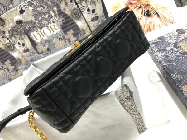 Dior Caro