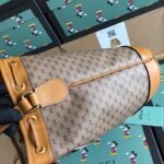 Disney ✖ Gucci Bucket