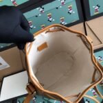 Disney ✖ Gucci Bucket