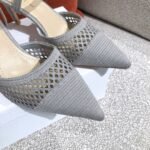 Dior Pump