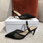 Dior Pump