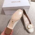 Dior Pump 2021
