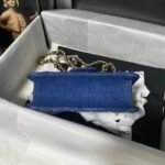 Chanel Dehnim Flap Bag