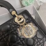 LADY DIOR MY ABCDIOR