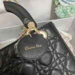 LADY DIOR MY ABCDIOR