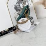 CHANEL 19 CLUTCH WITH CHAIN