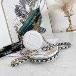 CHANEL 19 CLUTCH WITH CHAIN