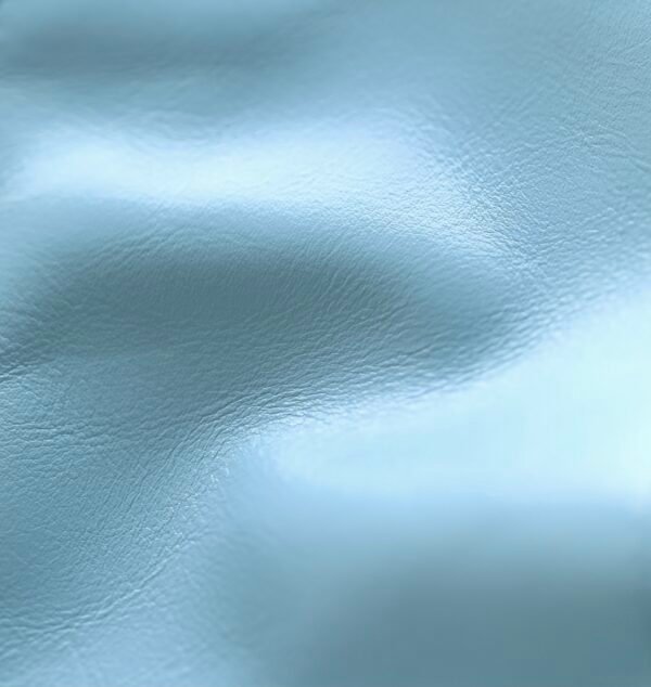 𝖠𝗇𝗍𝗂𝖻𝖺 𝖹𝖯 bag