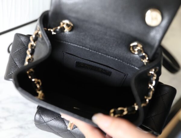 Chanel Backbag