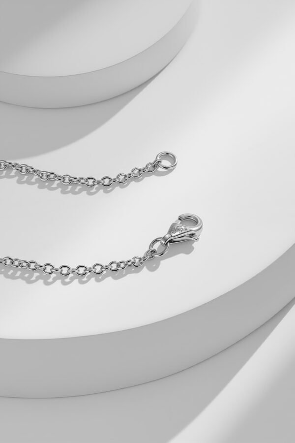 Cartier LOVE Chain Bracelet