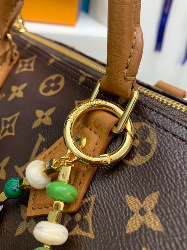 Louis Vuitton Speedy Soft 30 Boho