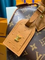 Louis Vuitton Speedy Soft 30 Boho