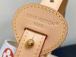 Louis Vuitton x Takashi Murakami All In BB
